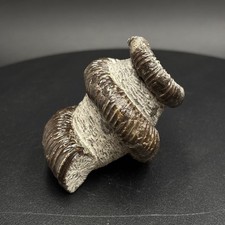 Eubostrycoceras japonicum