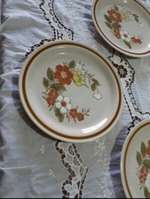 Piatti 6 pezzi dal Disegno Floreale