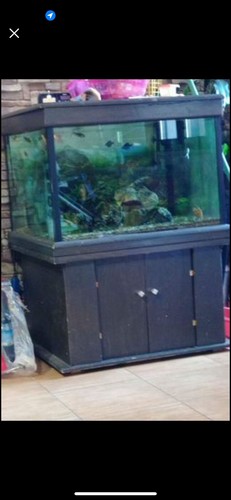Acquario completo usato - completo,