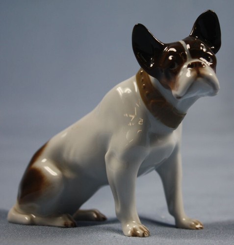 Französische bulldogge hund - französische,