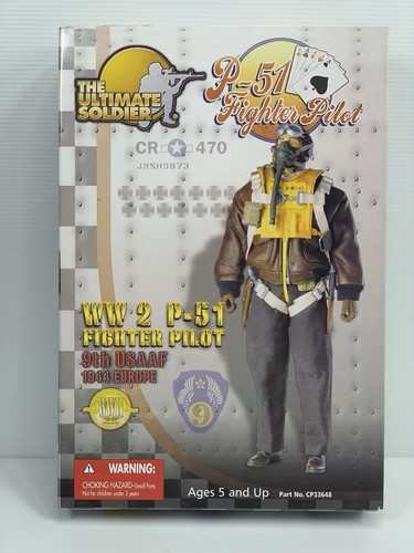 2001 ultimate soldier p 51 - 1/6, p-51