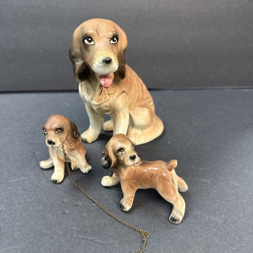 Setter spaniel vintage galles - setter,