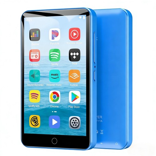 Lettore mp3 diofox 80gb - mp3,
