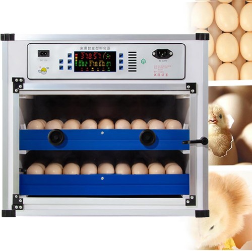 68-340 uova incubatrice