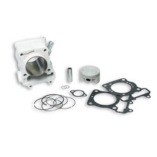  GRUPPO TERMICO MALOSSI