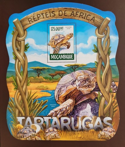 Mozambique 2015 african - mozambique,