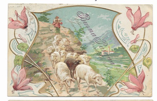 Cartolina buona pasqua - pasqua, pecore
