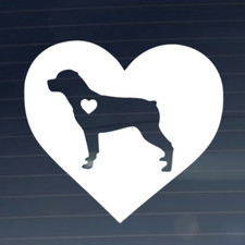 Adesivo vinile decalcomania