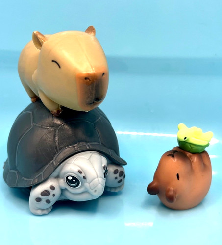 Capybara figura tartaruga - capybara,
