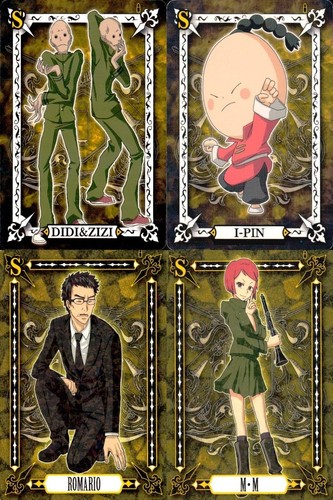 Lotto carte katekyo hitman - lotto,