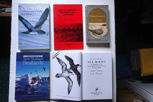 Ocean seabirds lot books - ocean, -5