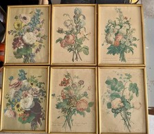 6 Stampe Botaniche Vintage -