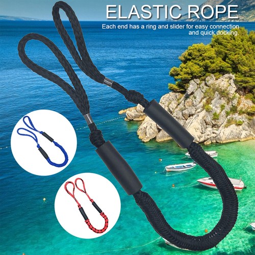 Cinghia elastica linea