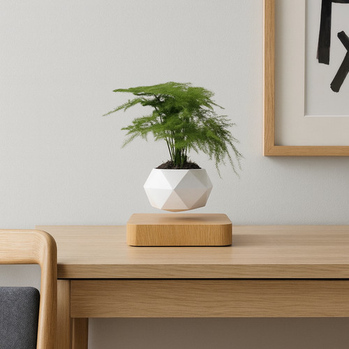 Vaso magnetico levitante - , per