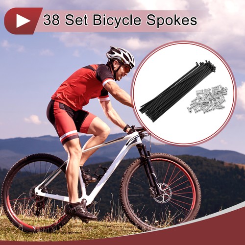 Set raggi bici - 38, 14g