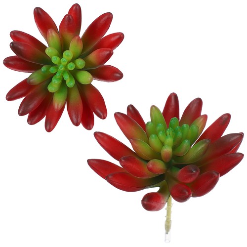 2pcs piante grasse - 2pcs, artificiali