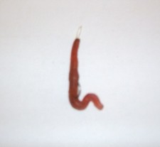 VERME DI TERRA ARTIFICIALE PESCA VINTAGE/ VINTAGE WORM FOR FISHING