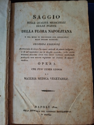 Tenore saggio sulle qualità - tenore,