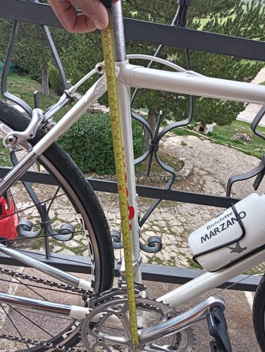 Bicicletta rossin - bicicletta,