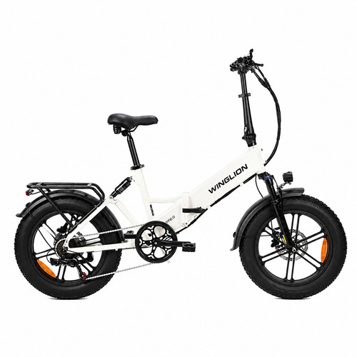 Bicicletta elettrica winglion - bicicletta,