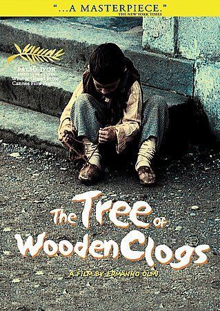 The tree wooden - of,