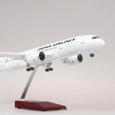 Extra Large Japan Airlines