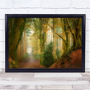Stampa wall art - wall,