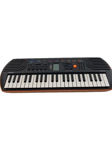 Casio electronic piano - casio,