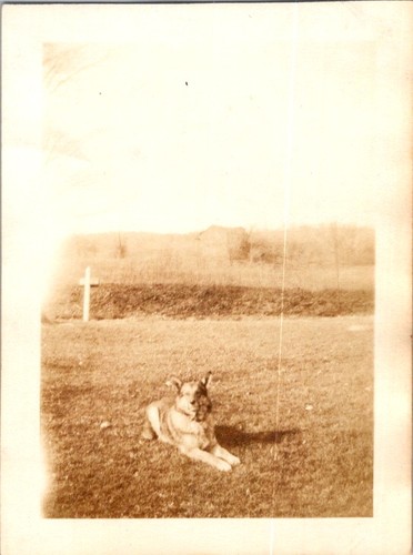 1931 foto commemorativa del - foto,