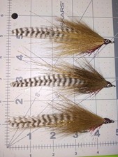 3 ogni 3/0 scarafaggio Leftys