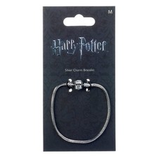 Harry Potter Silver Ciondolo