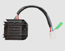 Raddrizzatore Bullit Bluroc