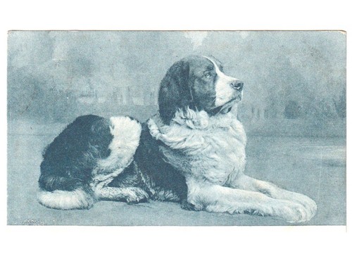 1917 antica cartolina - , foto
