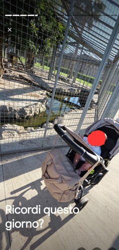 Taski sport passeggino - taski,