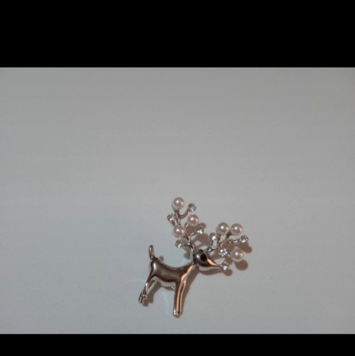 Spilla gioiello colore argento