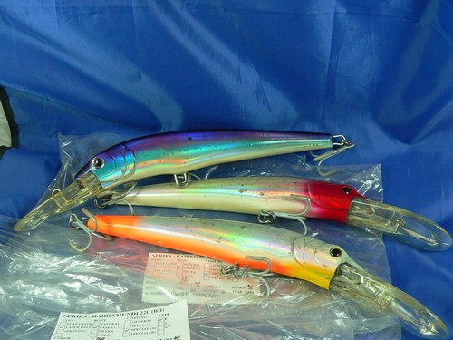 Barramundi 29cm - , corpo)