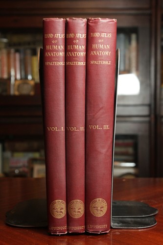 Hand atlas human - of,