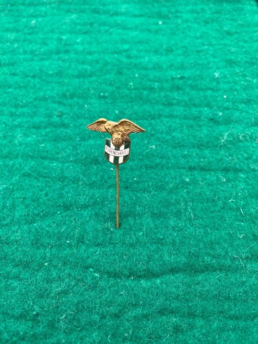 Pin spilla ferencvaros - pin,