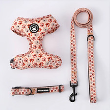 Set pettorina guinzaglio - set, e