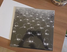 VINILE CANERANDAGIO NEFFA PT01