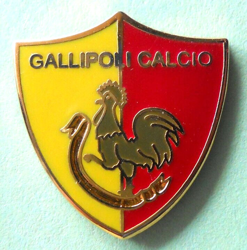 Distintivo spilla pin badge - distintivo,