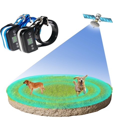 Sistema recinzione gps - sistema, di