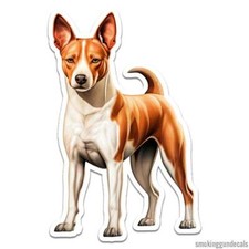 Basenji Cane, Adesivo