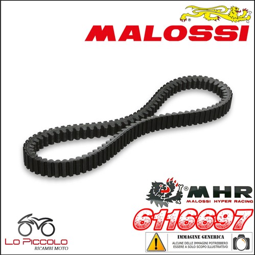 6116697 cinghia belt - x,