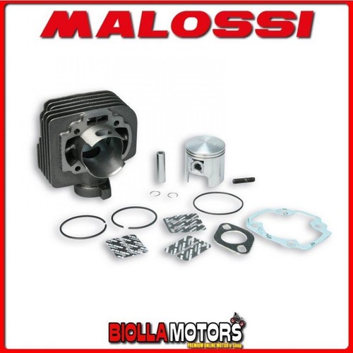 317137 gruppo termico malossi - gruppo,