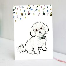 Biglietto Compleanno Maltipoo