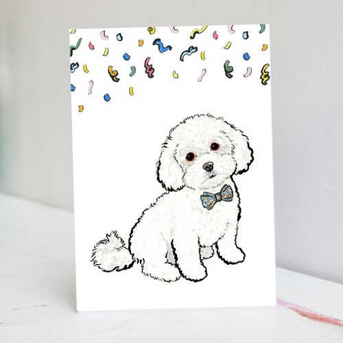 Biglietto compleanno maltipoo - biglietto,