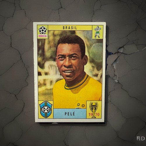 Panini world cup - panini,
