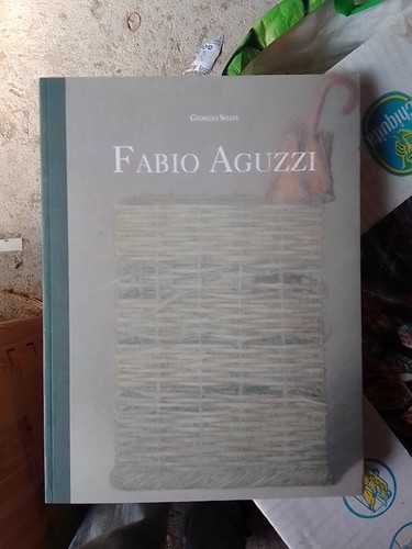 Fabio aguzzi giorgio soavi - aguzzi,