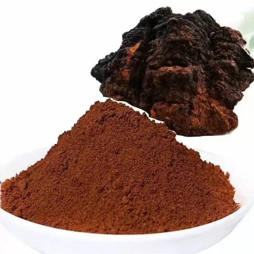 Estratto puro funghi chaga - puro,